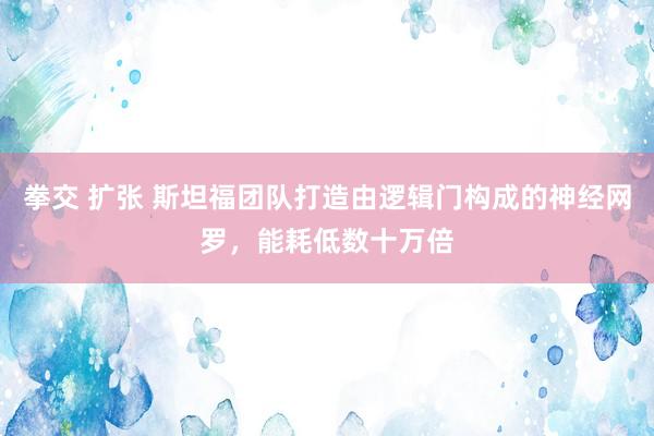 拳交 扩张 斯坦福团队打造由逻辑门构成的神经网罗，能耗低数十万倍