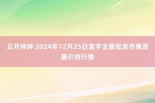 五月婷婷 2024年12月25日寰宇主要批发市集莲藕价钱行情