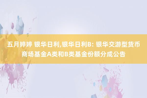 五月婷婷 银华日利,银华日利B: 银华交游型货币商场基金A类和B类基金份额分成公告