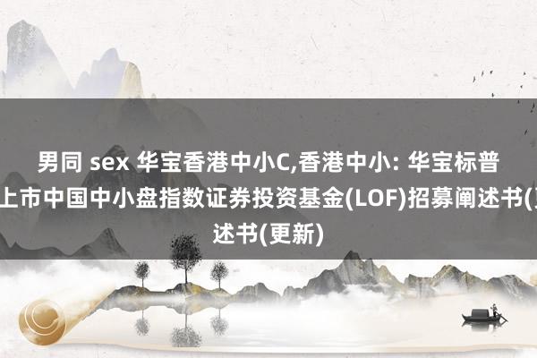 男同 sex 华宝香港中小C,香港中小: 华宝标普香港上市中国中小盘指数证券投资基金(LOF)招募阐述书(更新)