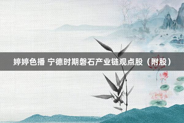 婷婷色播 宁德时期磐石产业链观点股（附股）