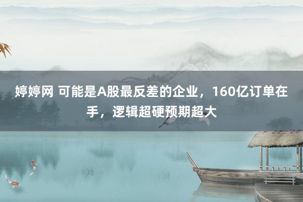 婷婷网 可能是A股最反差的企业，160亿订单在手，逻辑超硬预期超大