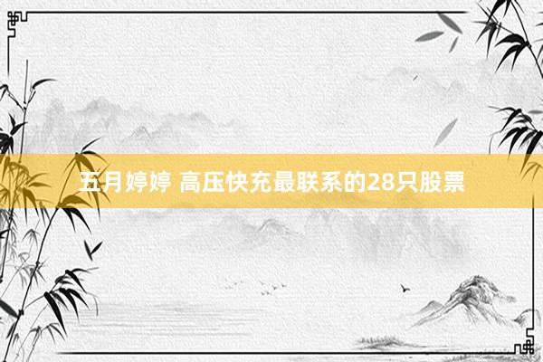 五月婷婷 高压快充最联系的28只股票