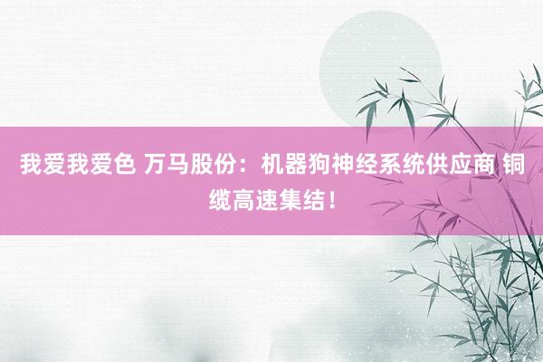 我爱我爱色 万马股份：机器狗神经系统供应商 铜缆高速集结！