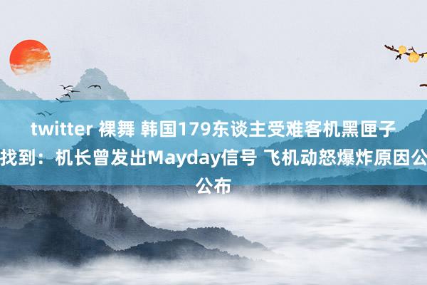twitter 裸舞 韩国179东谈主受难客机黑匣子已找到：机长曾发出Mayday信号 飞机动怒爆炸原因公布