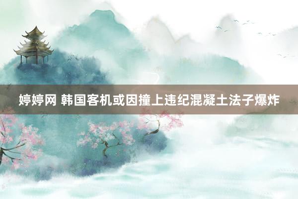 婷婷网 韩国客机或因撞上违纪混凝土法子爆炸
