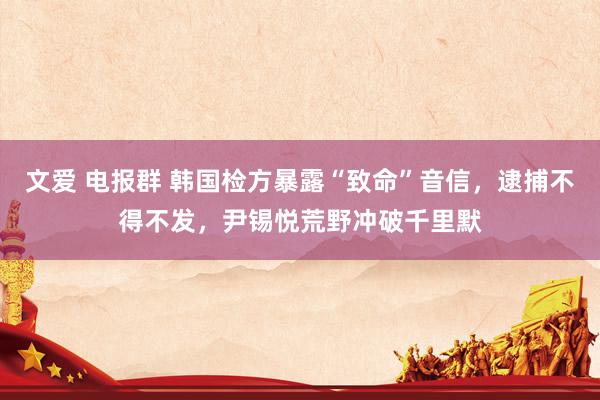文爱 电报群 韩国检方暴露“致命”音信，逮捕不得不发，尹锡悦荒野冲破千里默