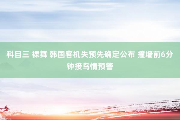 科目三 裸舞 韩国客机失预先确定公布 撞墙前6分钟接鸟情预警