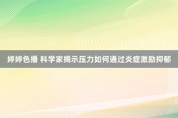 婷婷色播 科学家揭示压力如何通过炎症激励抑郁
