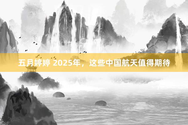 五月婷婷 2025年，这些中国航天值得期待