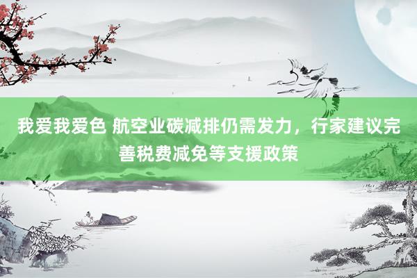我爱我爱色 航空业碳减排仍需发力，行家建议完善税费减免等支援政策
