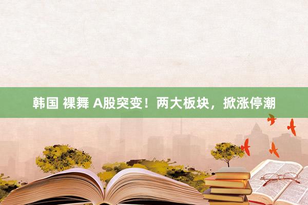 韩国 裸舞 A股突变！两大板块，掀涨停潮