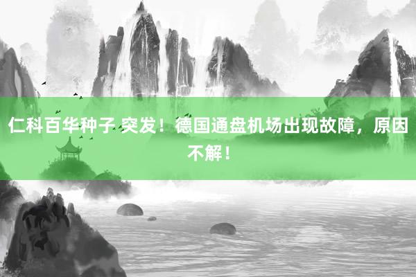 仁科百华种子 突发！德国通盘机场出现故障，原因不解！