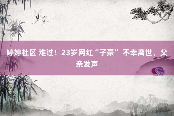 婷婷社区 难过！23岁网红“子豪” 不幸离世，父亲发声