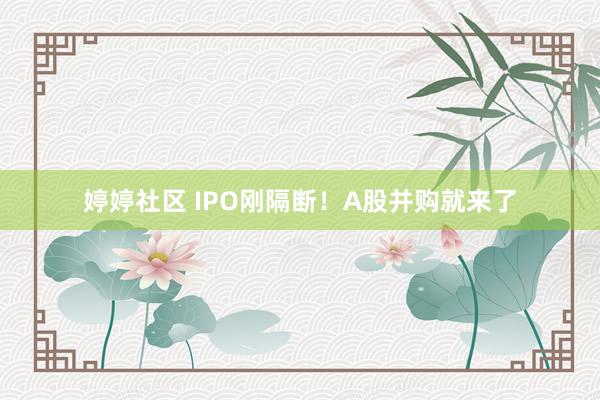 婷婷社区 IPO刚隔断！A股并购就来了