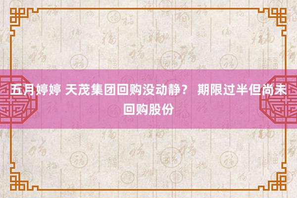 五月婷婷 天茂集团回购没动静？ 期限过半但尚未回购股份