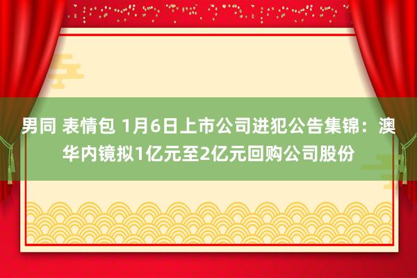 男同 表情包 1月6日上市公司进犯公告集锦：澳华内镜拟1亿元至2亿元回购公司股份