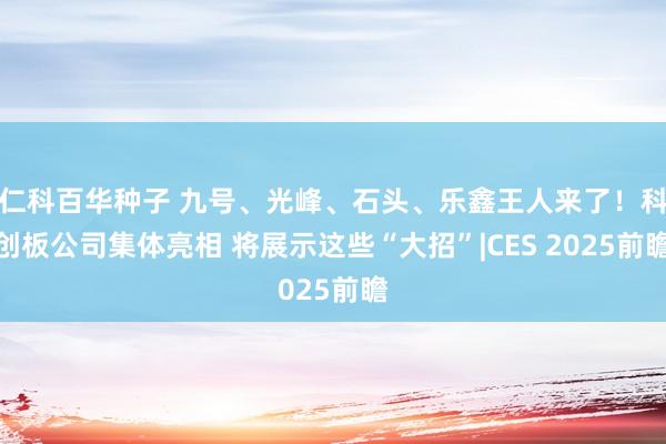 仁科百华种子 九号、光峰、石头、乐鑫王人来了！科创板公司集体亮相 将展示这些“大招”|CES 2025前瞻