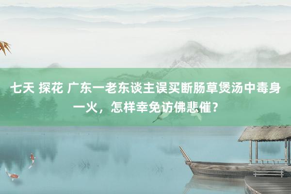 七天 探花 广东一老东谈主误买断肠草煲汤中毒身一火，怎样幸免访佛悲催？