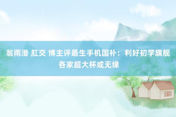 翁雨澄 肛交 博主评最生手机国补：利好初学旗舰 各家超大杯或无缘