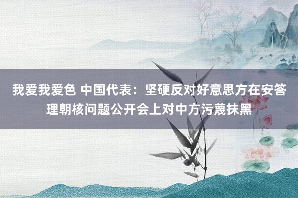 我爱我爱色 中国代表：坚硬反对好意思方在安答理朝核问题公开会上对中方污蔑抹黑