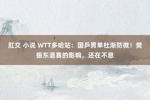 肛交 小说 WTT多哈站：国乒男单杜渐防微！樊振东退赛的影响，还在不息