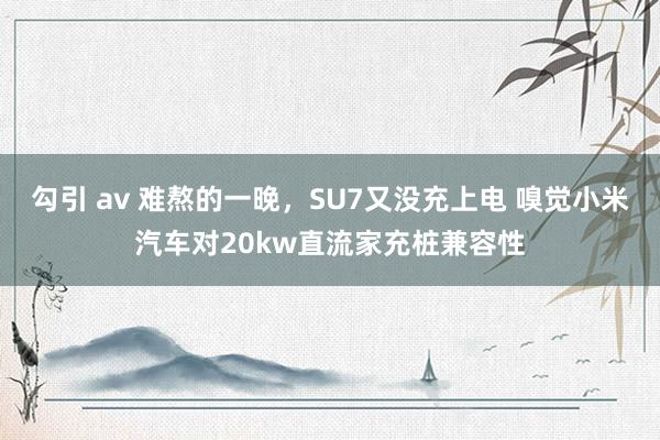 勾引 av 难熬的一晚，SU7又没充上电 嗅觉小米汽车对20kw直流家充桩兼容性