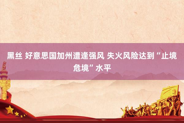 黑丝 好意思国加州遭逢强风 失火风险达到“止境危境”水平