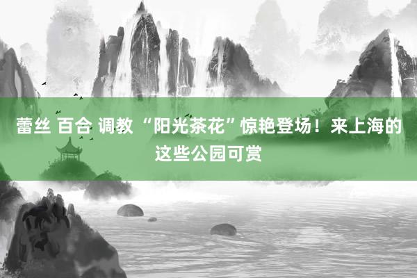 蕾丝 百合 调教 “阳光茶花”惊艳登场！来上海的这些公园可赏