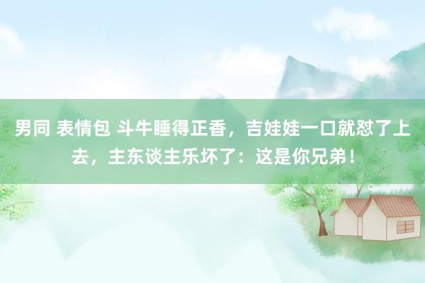 男同 表情包 斗牛睡得正香，吉娃娃一口就怼了上去，主东谈主乐坏了：这是你兄弟！