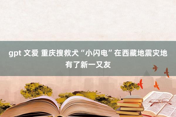 gpt 文爱 重庆搜救犬“小闪电”在西藏地震灾地有了新一又友