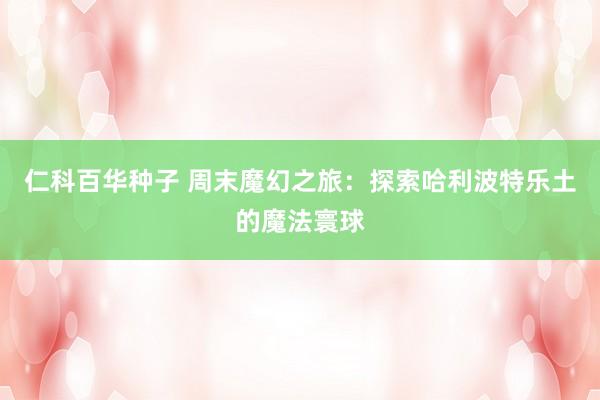 仁科百华种子 周末魔幻之旅：探索哈利波特乐土的魔法寰球