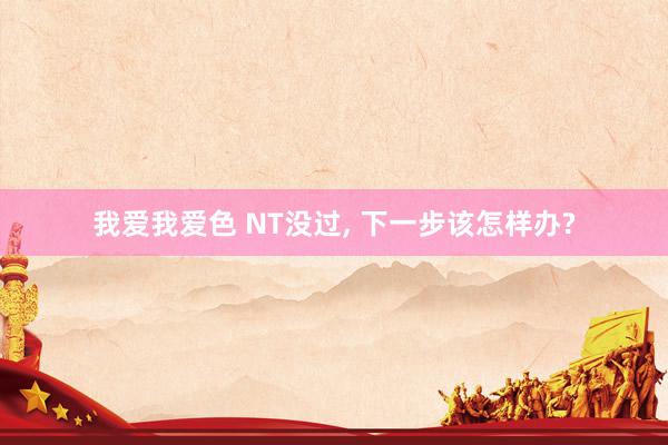 我爱我爱色 NT没过, 下一步该怎样办?