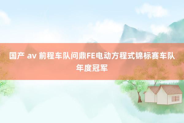 国产 av 前程车队问鼎FE电动方程式锦标赛车队年度冠军