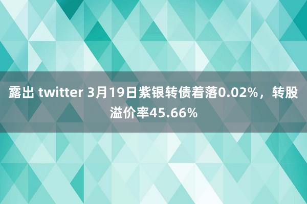 露出 twitter 3月19日紫银转债着落0.02%，转股溢价率45.66%