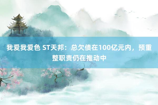 我爱我爱色 ST天邦：总欠债在100亿元内，预重整职责仍在推动中