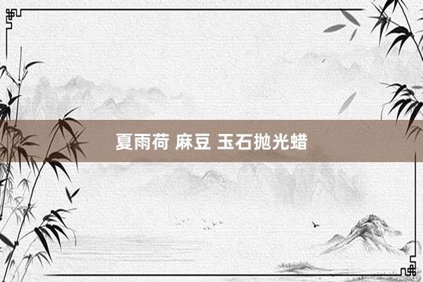 夏雨荷 麻豆 玉石抛光蜡