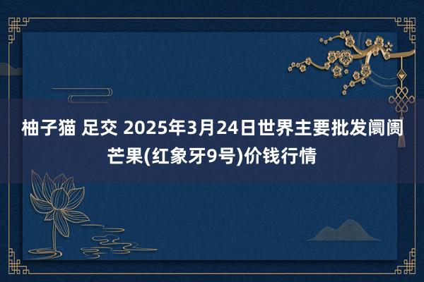 柚子猫 足交 2025年3月24日世界主要批发阛阓芒果(红象牙9号)价钱行情