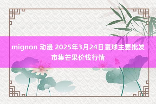 mignon 动漫 2025年3月24日寰球主要批发市集芒果价钱行情