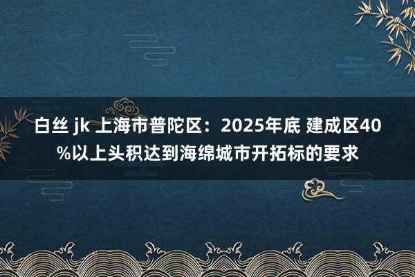 白丝 jk 上海市普陀区：2025年底 建成区40%以上头积达到海绵城市开拓标的要求