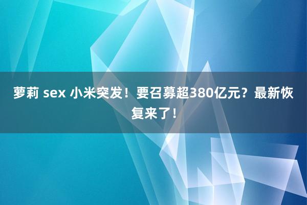 萝莉 sex 小米突发！要召募超380亿元？最新恢复来了！
