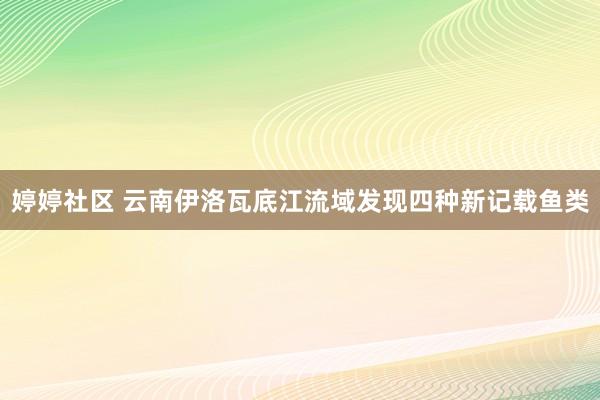 婷婷社区 云南伊洛瓦底江流域发现四种新记载鱼类