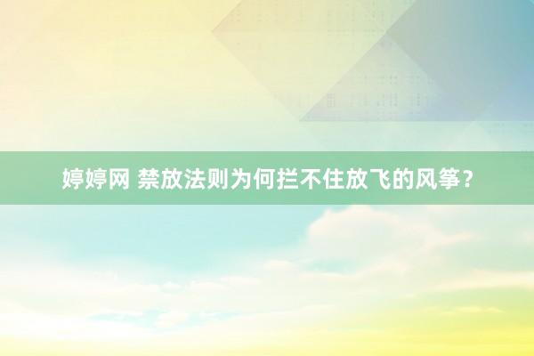 婷婷网 禁放法则为何拦不住放飞的风筝？