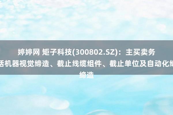 婷婷网 矩子科技(300802.SZ)：主买卖务包括机器视觉缔造、截止线缆组件、截止单位及自动化缔造