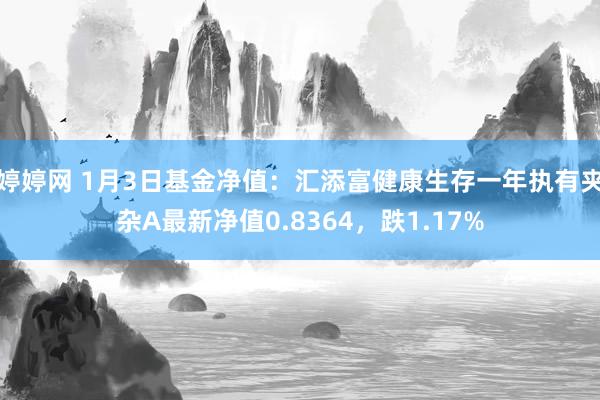 婷婷网 1月3日基金净值：汇添富健康生存一年执有夹杂A最新净值0.8364，跌1.17%