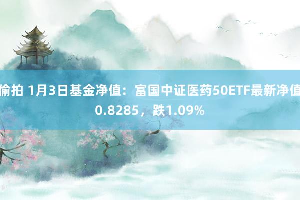 偷拍 1月3日基金净值：富国中证医药50ETF最新净值0.8285，跌1.09%
