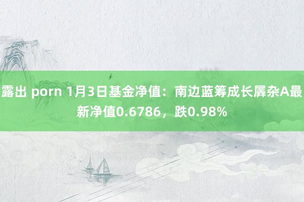 露出 porn 1月3日基金净值：南边蓝筹成长羼杂A最新净值0.6786，跌0.98%