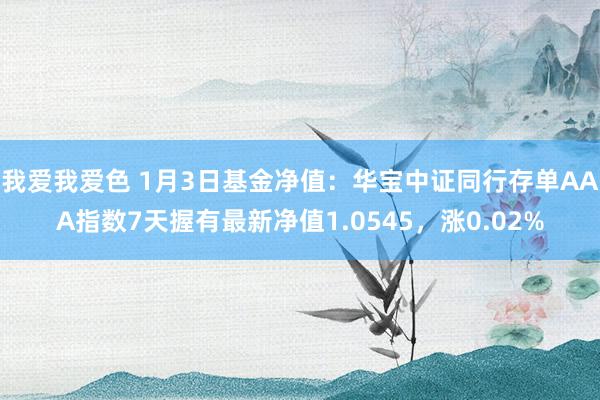 我爱我爱色 1月3日基金净值：华宝中证同行存单AAA指数7天握有最新净值1.0545，涨0.02%