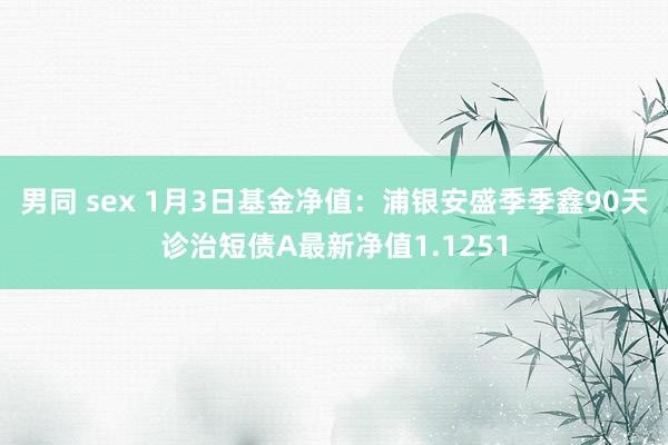 男同 sex 1月3日基金净值：浦银安盛季季鑫90天诊治短债A最新净值1.1251
