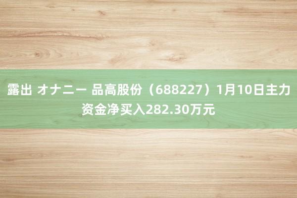 露出 オナニー 品高股份（688227）1月10日主力资金净买入282.30万元